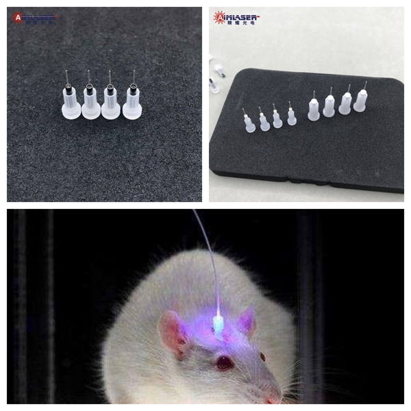 光遺學(xué)陶瓷插芯